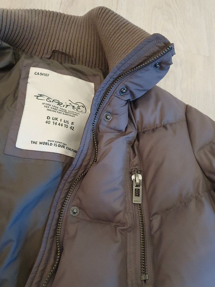 Daunenjacke ESPRIT Gr. 40 in grau-braun zu verkaufen, neuwertig in Kleve