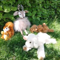 STEIFF Schaf Lamm  Eichhörnchen Hund Welpe Jellycat Rentier Baden-Württemberg - Aalen Vorschau