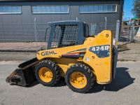 Radlader Lader Gehl 4240 Skid Steer Bobcat Yanmar Greifschaufel Herzogtum Lauenburg - Breitenfelde Vorschau