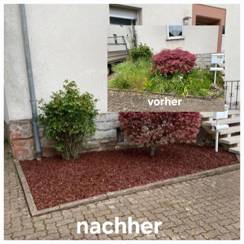 Gartenarbeiten / Heckenschneiden / Rasenmähen / Baumfällung in Merzig