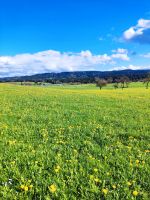 Grünland zu verkaufen Hessen - Bebra Vorschau