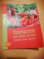 Tomaten aus dem Garten vielseitig lecker gesund Harburg - Hamburg Wilstorf Vorschau