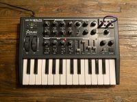 Arturia Microbrute Analog Synthesizer Black Edition Semi Modular Kreis Pinneberg - Uetersen Vorschau