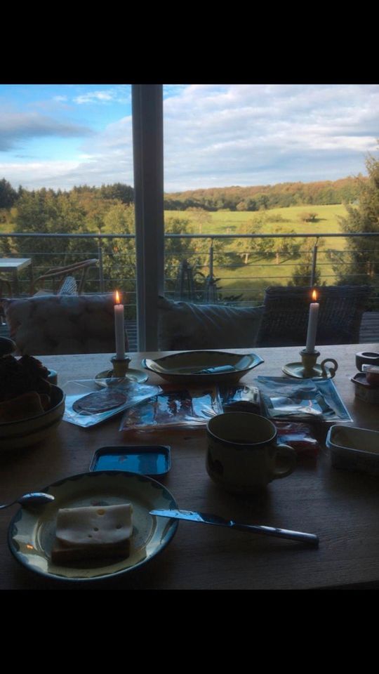 Eingezäuntes Ferienhaus im Hundeparadies Eifel in Ohlenhard