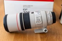 Canon EF 300mm f/4L IS USM Top Zustand! Baden-Württemberg - Wolfschlugen Vorschau