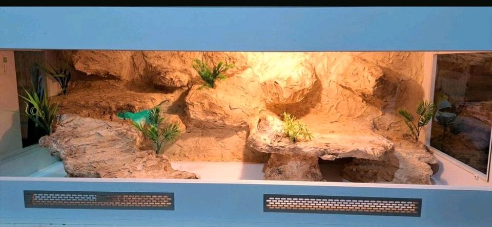 Terrarium Reptilien 180x70x70 in Frankfurt am Main