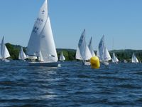 Regatta Kielzugvogel zu verkaufen Bayern - Waging am See Vorschau