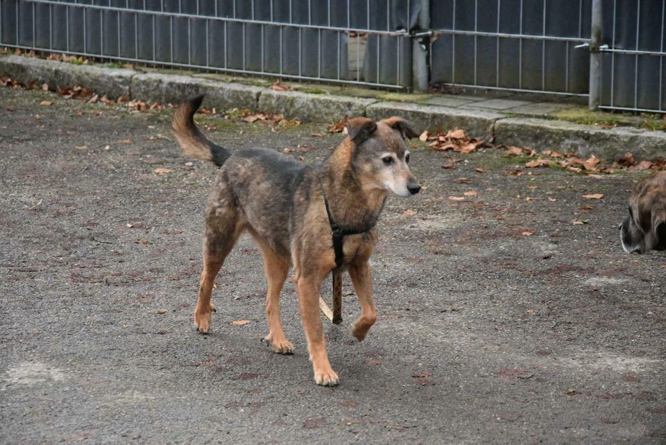 Esti sucht ihre Menschen in Rennertshofen