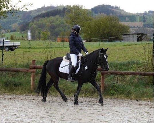 Suche Reitbeteiligung, Pferd zur Verfügung (Mensch sucht Pferd) in Eslohe