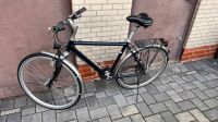 Herren Fahrrad Citybike Niedersachsen - Gifhorn Vorschau