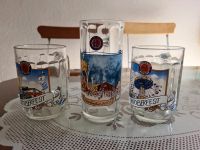 3 Gläser 0,5l Paulaner München, Stück 4€ Mecklenburg-Vorpommern - Boizenburg/Elbe Vorschau