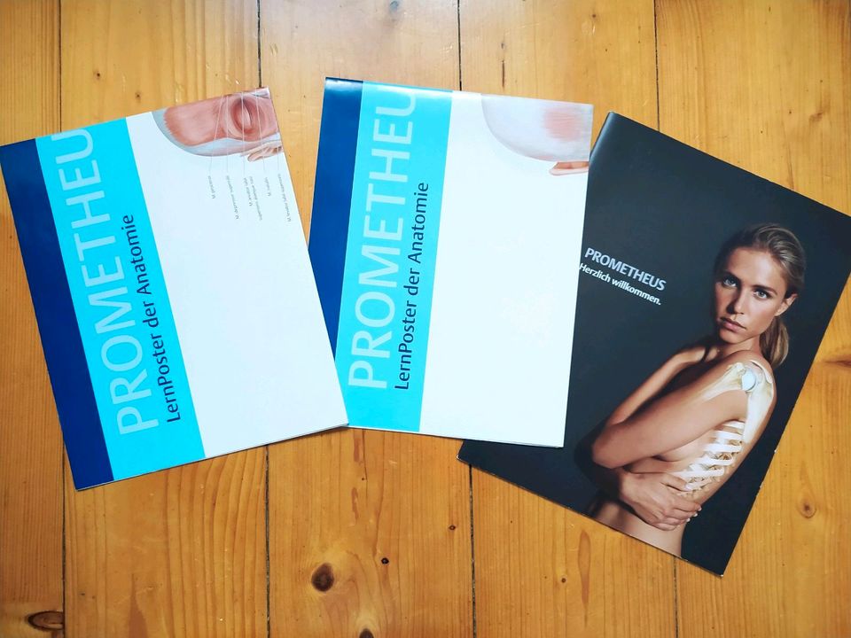 Prometheus Lernatlas Anatomie Paket komplett 4. Auflage in Leipzig