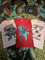 3 Dino Tshirts Gr. 134 und 140 Köln - Porz Vorschau