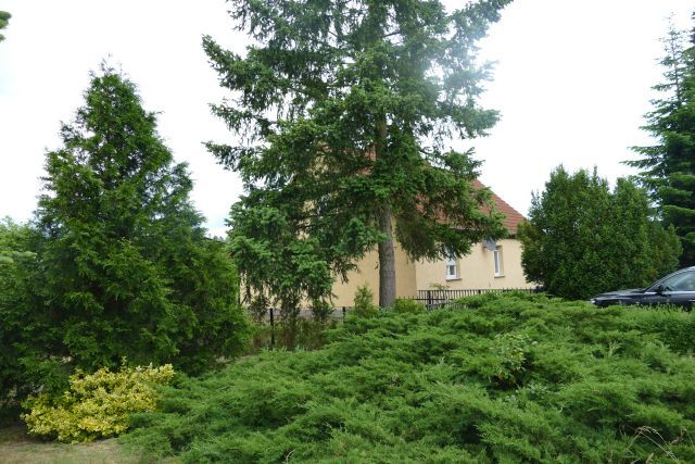 Bauernhaus mit Scheune in Lieberose