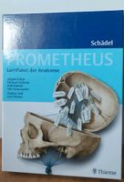 Lernpaket der Anatomie - Schädel Prometheus Thieme Niedersachsen - Göttingen Vorschau