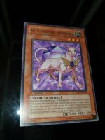 Yu-Gi-Oh Karten „Duelist Pack 7: Jesse Anderson“ Thüringen - Gehofen Vorschau