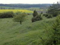 Wiese-Acker-Grundstück-Gelände-Wald-Forst-Unland-Garten Hessen - Feldatal Vorschau