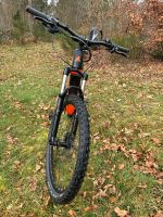 E-Bike Bulls E-Core2 Rheinland-Pfalz - Ludwigswinkel Vorschau