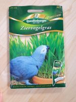 Ziervogelgras / Saatgut Bayern - Weißenhorn Vorschau