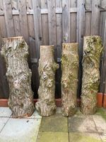 Baumstamm Säulen tolles Deko Garten Holz massiv Süderlügum Nordfriesland - Süderlügum Vorschau