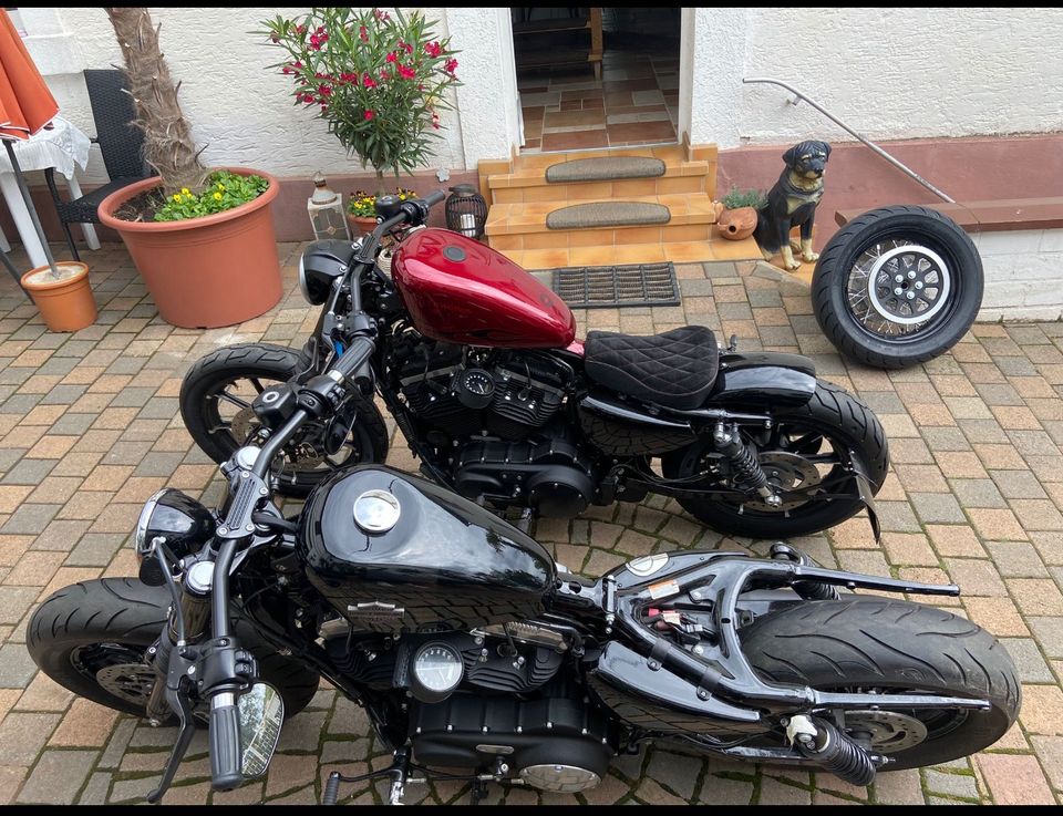 Harley Davidson Sportster XXl 833 in Sankt Augustin