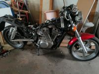 Suzuki VX 800 Hessen - Eschwege Vorschau