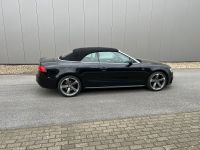 Audi A5 2.0 TDI 140kW quattro Cab. - Nordrhein-Westfalen - Heinsberg Vorschau