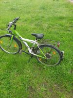 Fahrrad Jungen 20 Zoll Schleswig-Holstein - Horst (Holstein) Vorschau