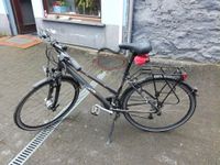 Schönes Curtis Fahrrad 28 Zoll Hessen - Haiger Vorschau