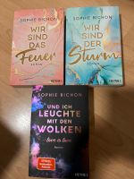 New Adult 3 Bücher Sophie Bichon Nordrhein-Westfalen - Oberhausen Vorschau