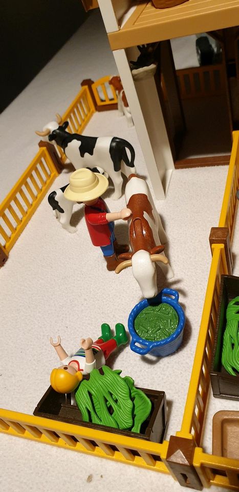 Playmobil XXL: Country großer Bauernhof & Förderband & Traktor in Neufahrn