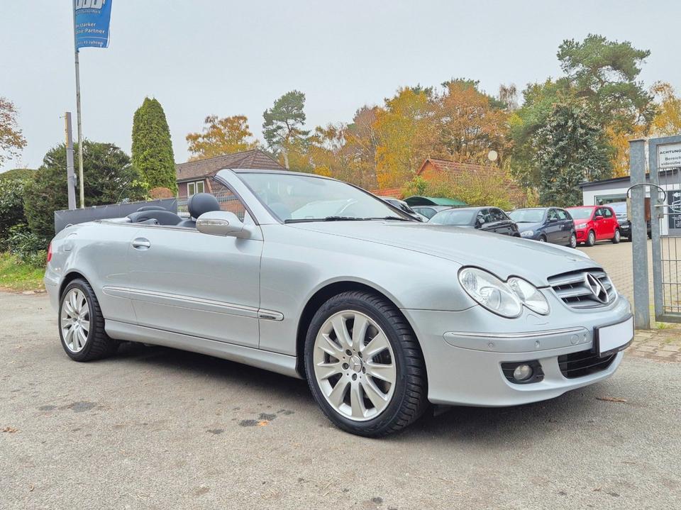 Mercedes-Benz CLK 320 CDI Cabrio Elengance |Leder|Sitzhzg|SHG| in Winsen (Luhe)