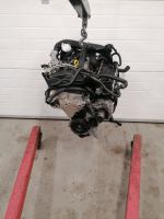 MOTOR CPV 1.4 TSI Volkswagen Audi Nordrhein-Westfalen - Ratingen Vorschau