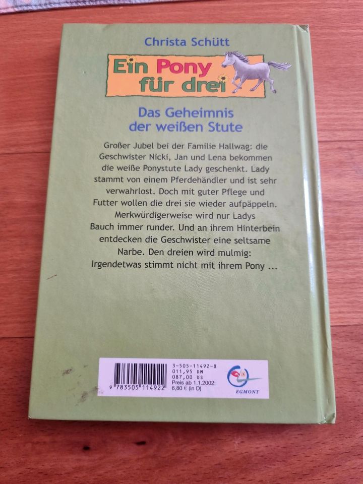 Ein Pony für drei Schneider Buch in Essen