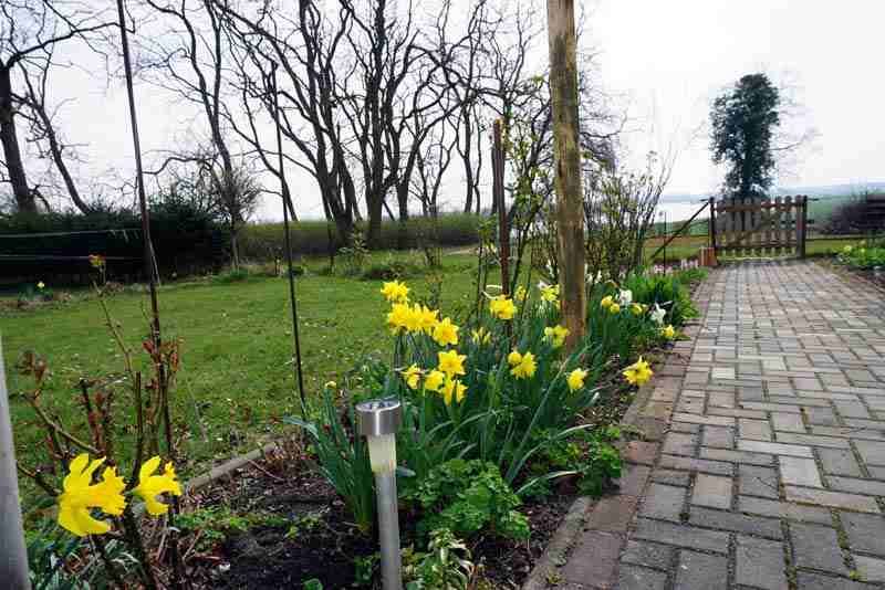 Reserviert. Landhaus mit  Elbblick und riesigem Grundstück. in Bittkau