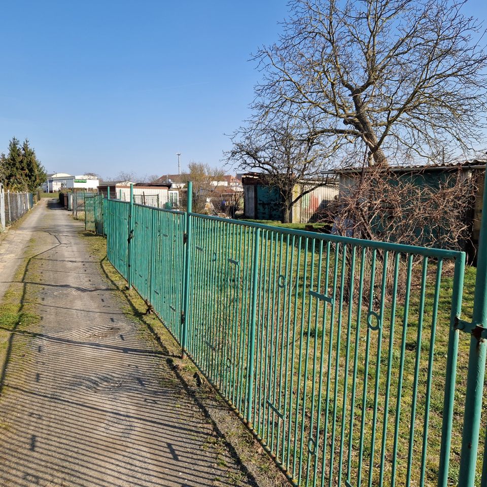 Großes Gartengrundstück in Torgau in Torgau