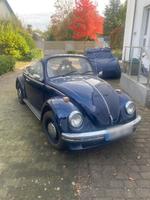Volkswagen VW Käfer 1200 Cabrio Nordrhein-Westfalen - Rheda-Wiedenbrück Vorschau