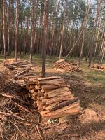 Holz Kaminholz Brennholz Kiefer Sachsen - Wittichenau Vorschau