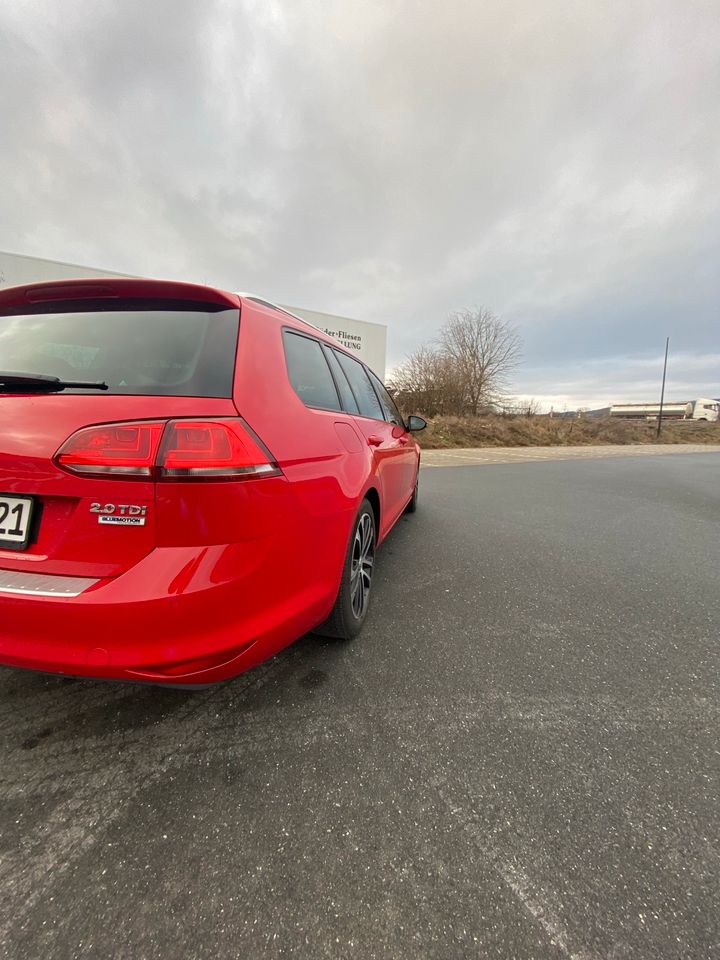 VW Golf VII Variant 2.0 TDI DSG BMT in Walsdorf