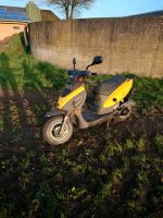 Kymco top Boy 25papiere Schleswig-Holstein - Bad Segeberg Vorschau