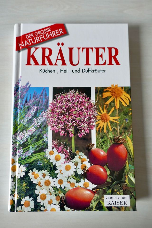 Buch_Kräuter - Küchen-, Heil- und Duftkräuter_ ISBN 9783704313140 in Chemnitz