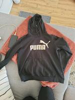 Puma Hoodie Brandenburg - Wittenberge Vorschau