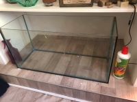 Terrarium 120L Nordrhein-Westfalen - Leverkusen Vorschau