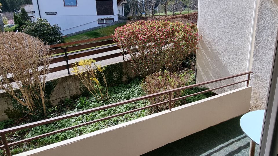 Eigentumswohnung mit Balkon Schwarzwald Ideal für Naturliebhaber in Lenzkirch