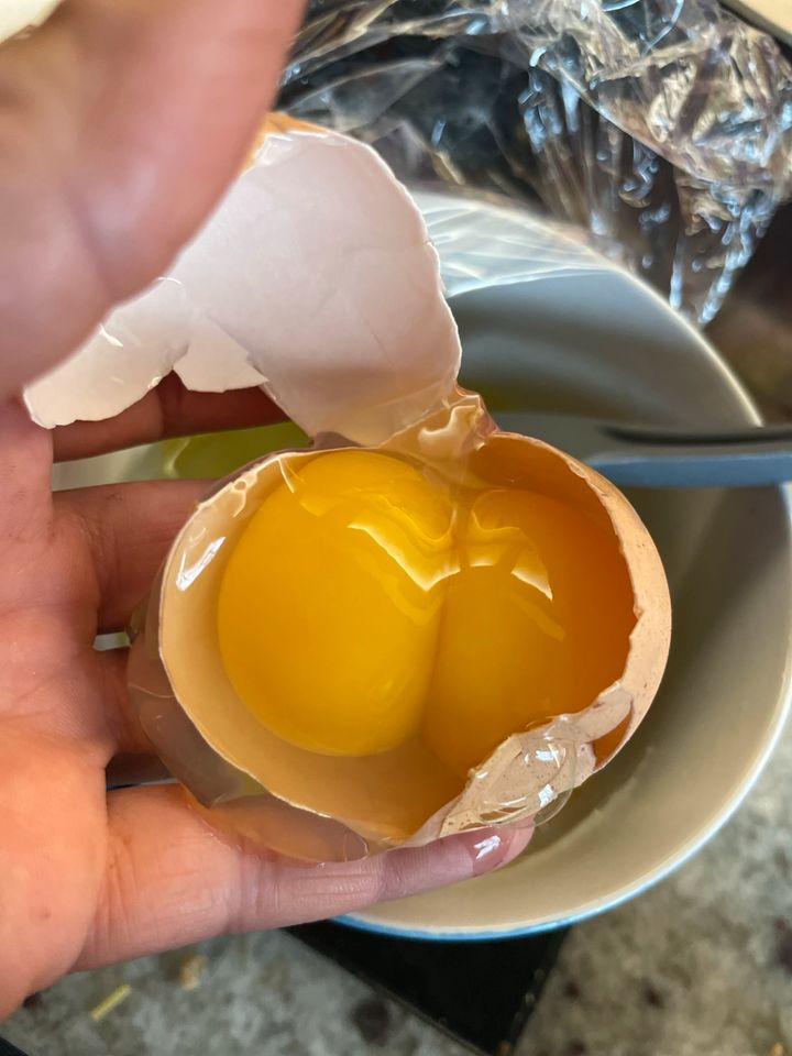 Frische Eier von glücklichen Biohühnern in Apolda