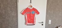 Damem Radtrikot PEARL IZUMI Elite Gr. S /164 Hessen - Bensheim Vorschau