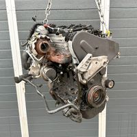 Motor VW Audi Seat Skoda 1.6 TDI CRK 110 PS - Komplett Brandenburg - Blankenfelde-Mahlow Vorschau