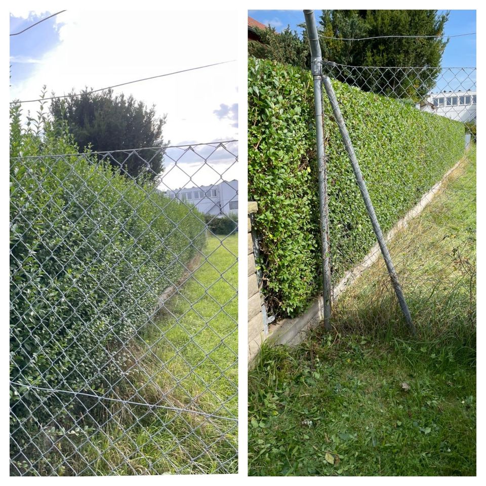 Heckenschnitt,Rasenmähen,Gartenarbeit, Gartenbau,Gebäudereinigung in Hechingen