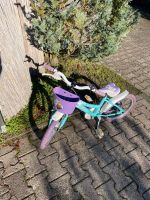 Frozen/Elsa Fahrrad 16 Zoll Marke Dino Bikes Hessen - Dieburg Vorschau