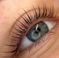 LASHLIFTING WIMPERN LAMINIERUNG Nordrhein-Westfalen - Düren Vorschau